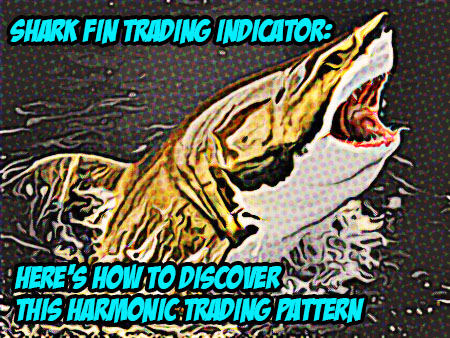 Shark Fin Trading Indicator: Here’s How to Discover This Harmonic Trading Pattern