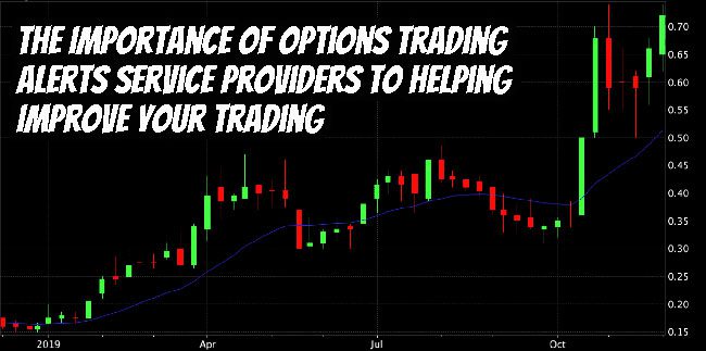 The Importance of Options Trading Alerts Service Providers To Helping Improve Your Trading